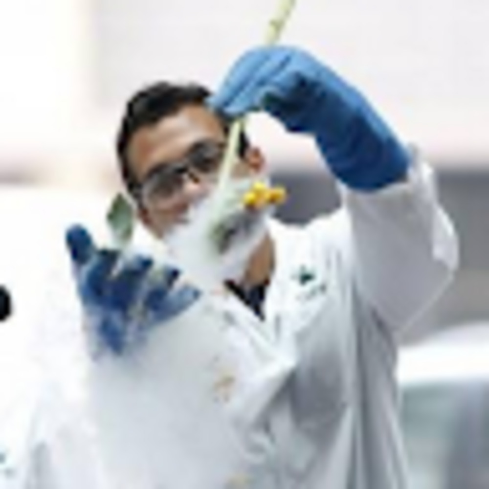 Meet your Posher, Félix